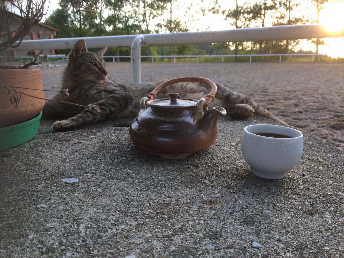 赫拉迪斯科膳食公寓酒店 农家乐 Rožnov pod Radhoštěm